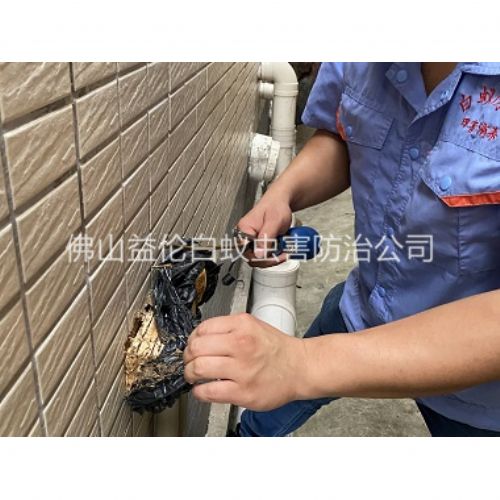 南边镇建筑灭治白蚁工程