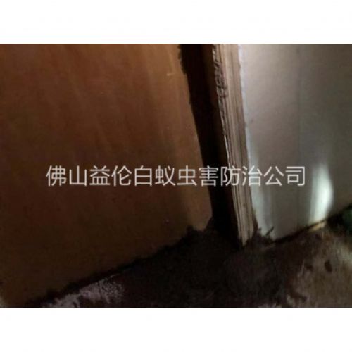 云东海房屋防治白蚁工程