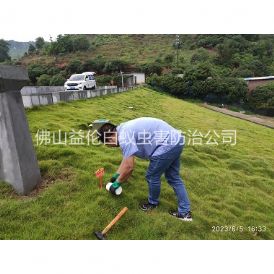 范湖水利工程红火蚁防治