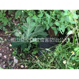 西南住宅区处理蛇患工程