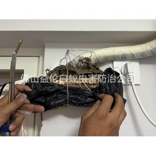 迳口房屋白蚁诱杀工程